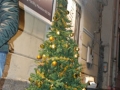 natale.jpg