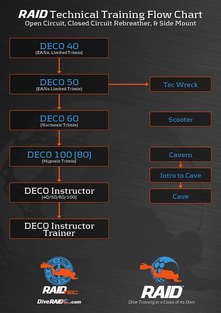 RAID Program Flow Charts LR_Pagina_2