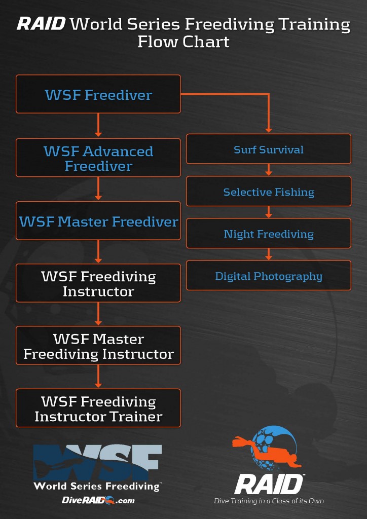 RAID Program Flow Charts LR_Pagina_3